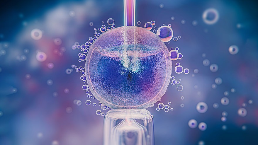 Εξωσωματική εμβρυομεταφορά με κρυοσυντηρημένα έμβρυα